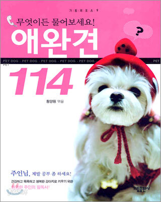 애완견 114