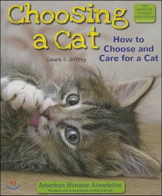 Choosing a Cat: How to Choose and Care for a Cat