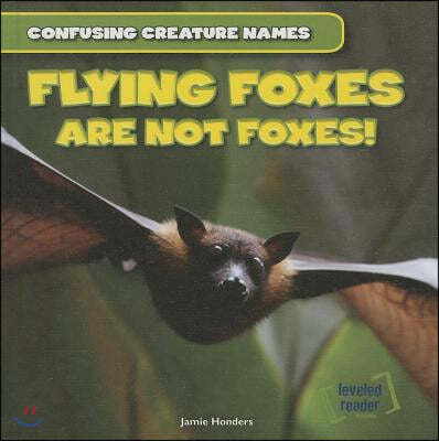 Flying Foxes Are Not Foxes!