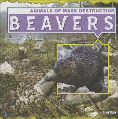 Beavers