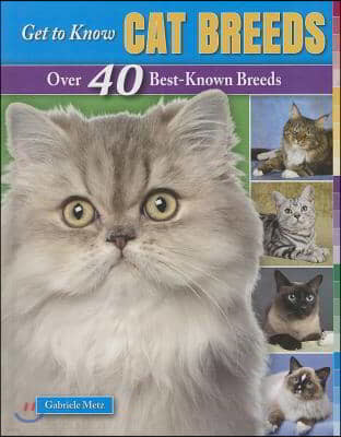 Get to Know Cat Breeds: Over 40 Best-Known Breeds