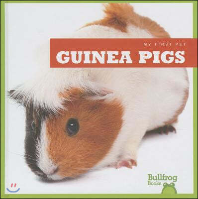 Guinea Pigs