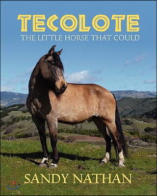 Tecolote: The Little Horse That Could