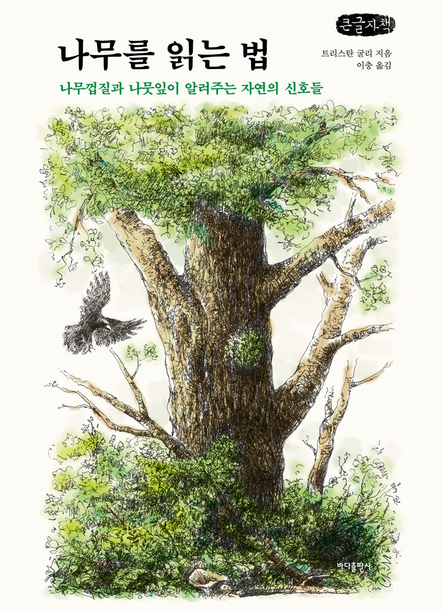 나무를 읽는 법 (큰글자책)