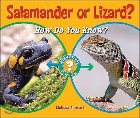 Salamander or Lizard?: How Do You Know?