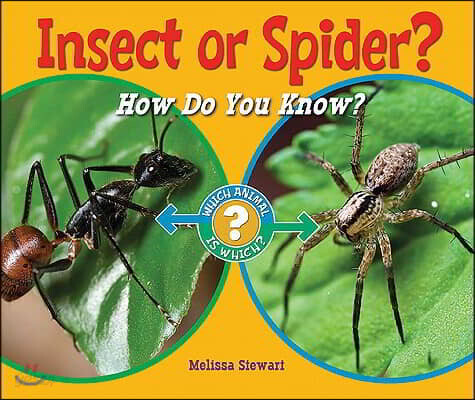 Insect or Spider?: How Do You Know?