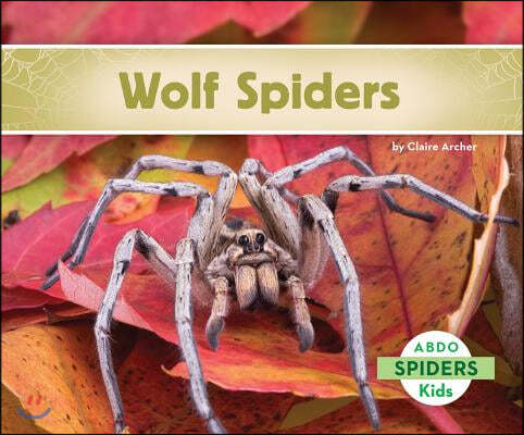 Wolf Spiders