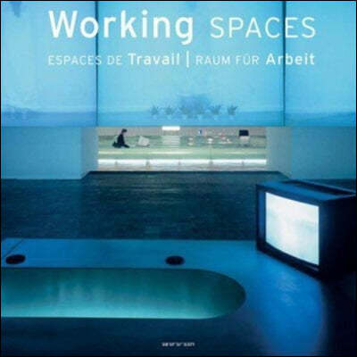 Working Spaces / Espaces De Travail / Raum Fur Arbeit