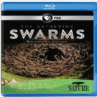 Nature: The Gathering Swarms ( ) (ѱ۹ڸ)(Blu-ray) (2014)