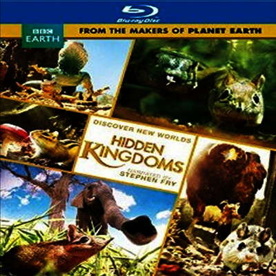 Hidden Kingdoms : Original UK Version of Discovery's Mini Monsters (히든 킹덤) (한글무자막)(Blu-ray)