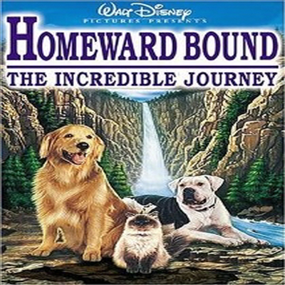 Homeward Bound - The Incredible Journey (ӳ ) (1993)(ڵ1)(ѱ۹ڸ)(DVD)