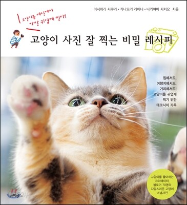 고양이 사진 잘 찍는 비밀 레시피
