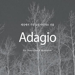 세상에서 가장 슬픈 아다지오 선율 Adagio : For Relaxation & Meditation