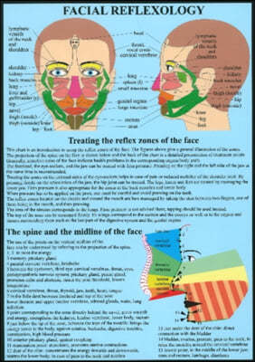 Facial Reflexology -- A4