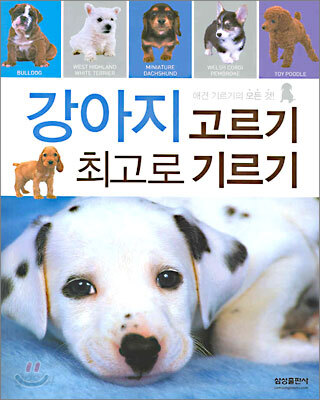 강아지 고르기 최고로 기르기
