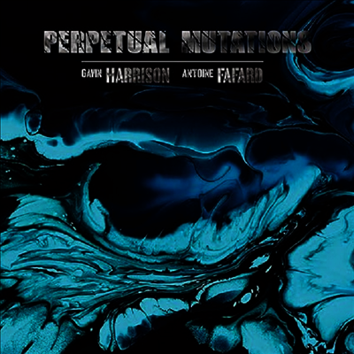 Gavin Harrison,Antoine Fafard — Perpetual Mutations (Gatefold) 앨범 커버