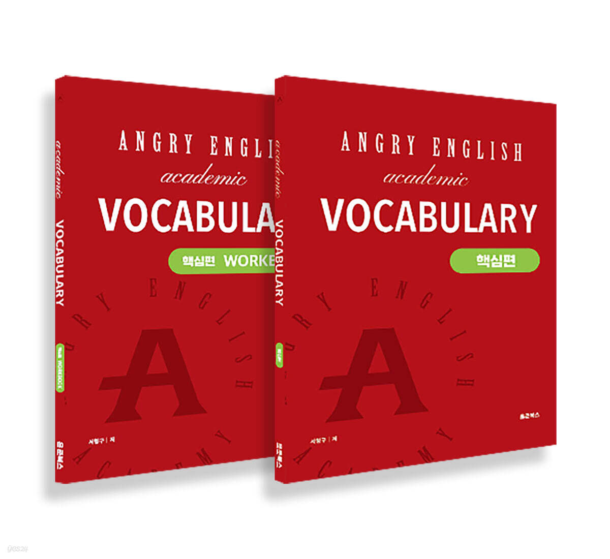 앵그리 아카데믹 보카 (Angry Academic Vocabulary) - 핵심편