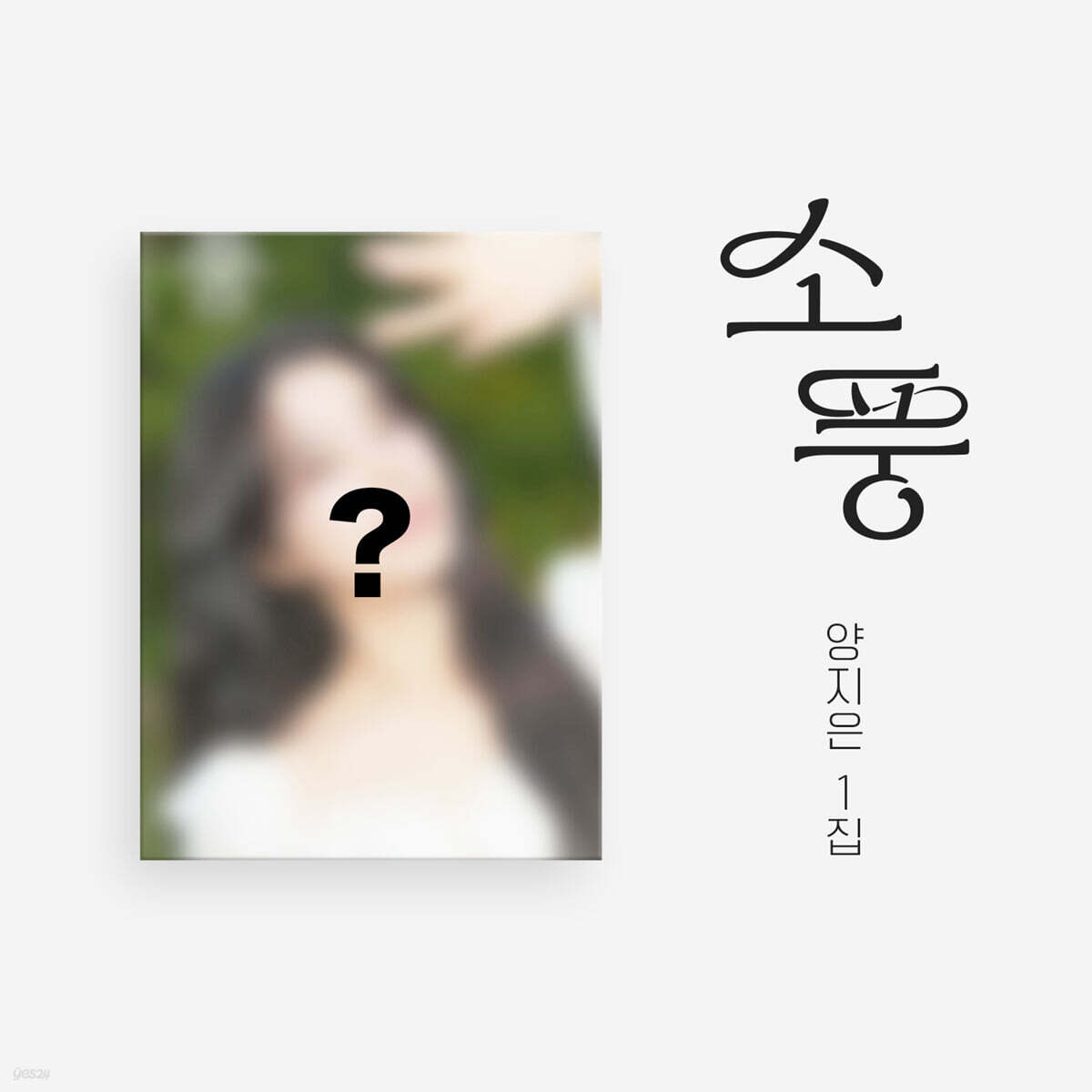 양지은 - 1집 : 소풍