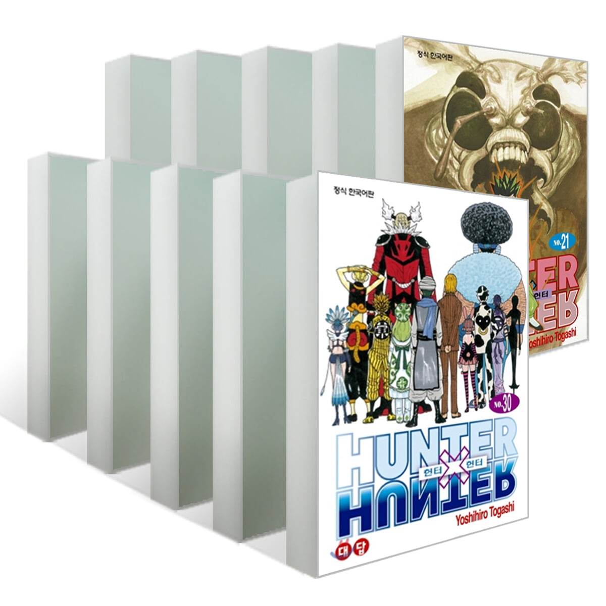 헌터x헌터 HUNTERxHUNTER 신장판 21~30권 세트
