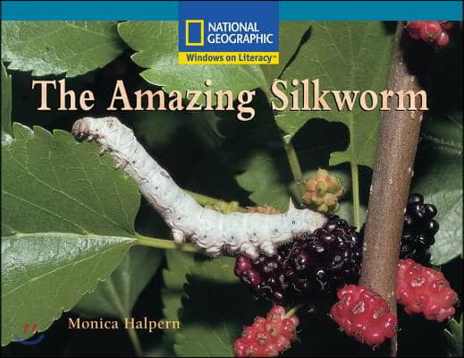 The Amazing Silkworm