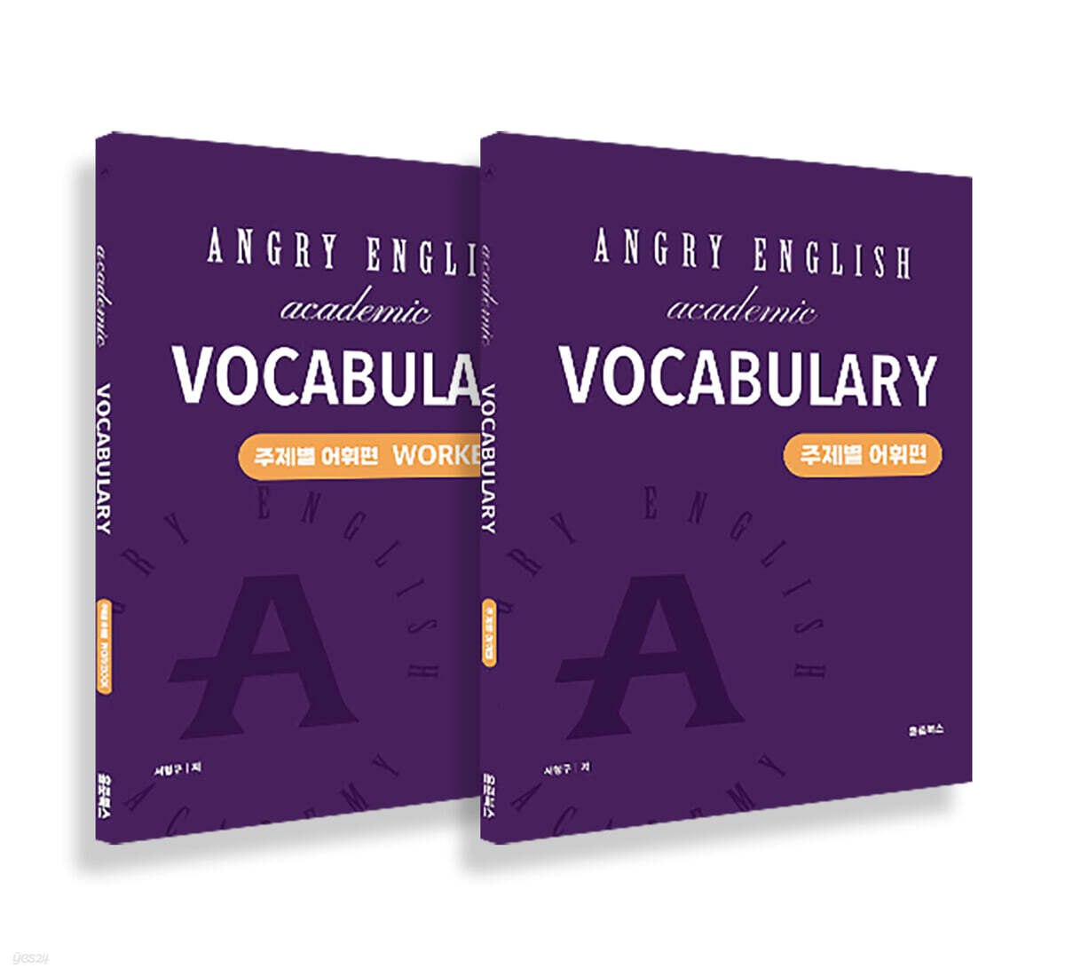 앵그리 아카데믹 보카 (Angry Academic Vocabulary) - 주제별 어휘편