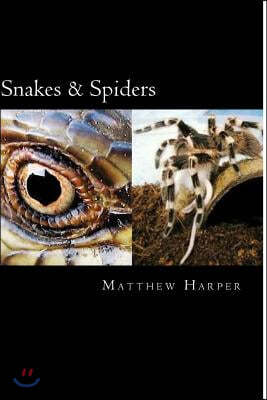 Snakes & Spiders: Two Fascinating Books Combined Containing Facts, Trivia, Images & Memory Recall Quiz: Suitable for Adults & Children