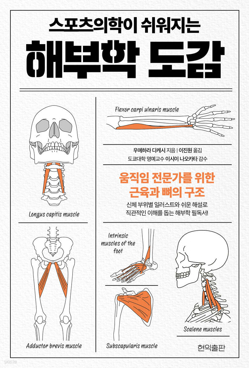 스포츠의학이 쉬워지는 해부학 도감