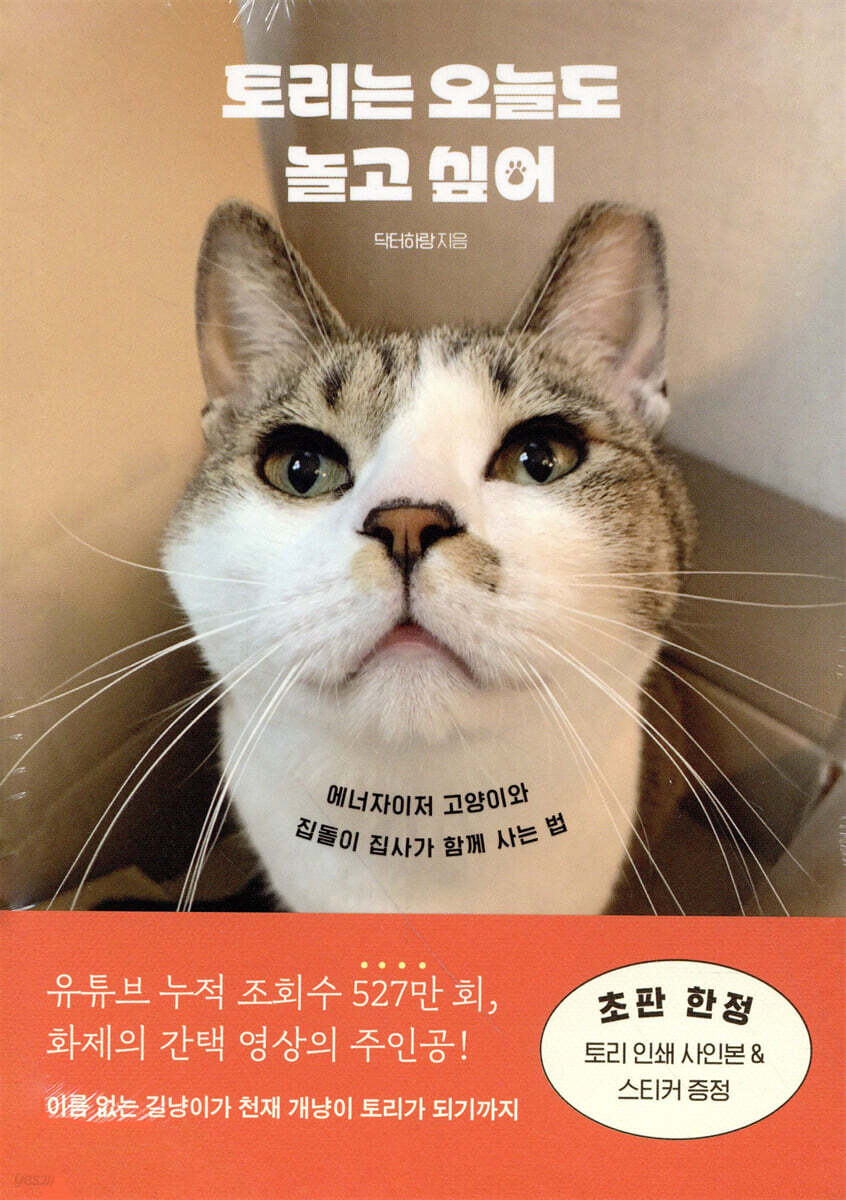 토리는 오늘도 놀고 싶어