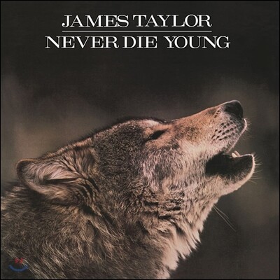 James Taylor — Never Die Young 앨범 커버