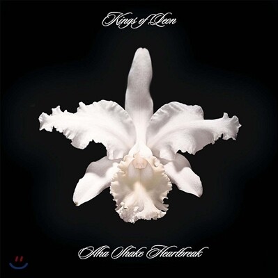 Kings Of Leon — Aha Shake Heartbreak 앨범 커버