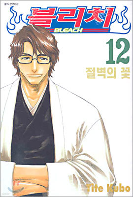 블리치 BLEACH 12