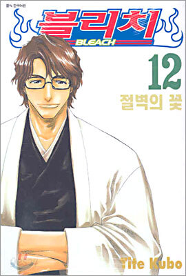 블리치 BLEACH 12