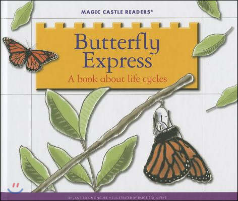 Butterfly Express: A Book about Life Cycles