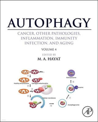 Autophagy: Cancer, Other Pathologies, Inflammation, Immunity, Infection, and Aging: Volume 4 - Mitophagy