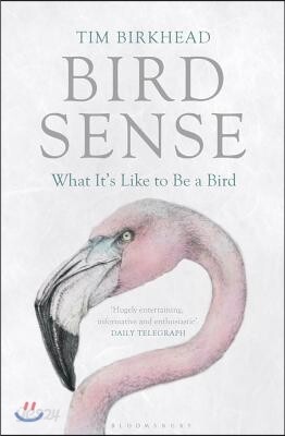 Bird Sense