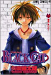 Black cat 10