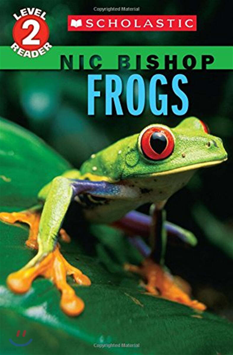 Nic Bishop #4 : Frogs