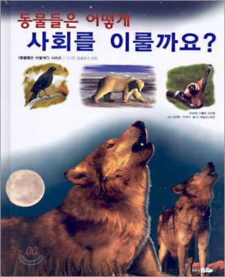 동물들은 어떻게 사회를 이룰까요?