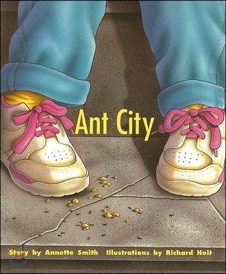 Ant City: Individual Student Edition Turquoise (Levels 17-18)