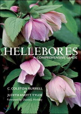 Hellebores: A Comprehensive Guide