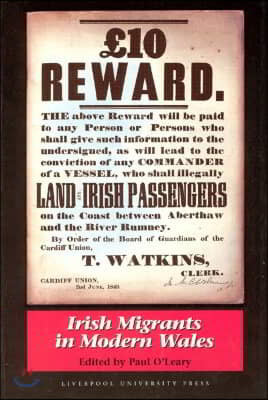 Irish Migrants in Modern Wales
