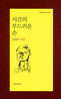 시간의 부드러운 손 - 문학과지성 시인선 333