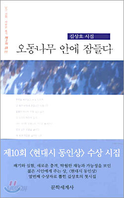 오동나무 안에 잠들다