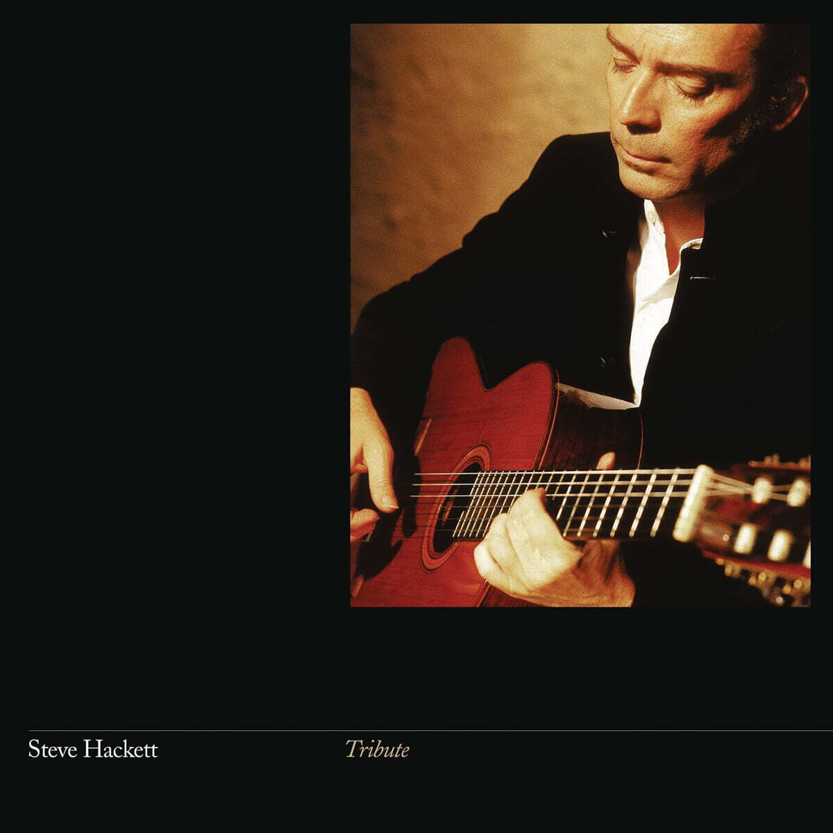 Steve Hackett (스티브 해킷) - Tribute [LP]
