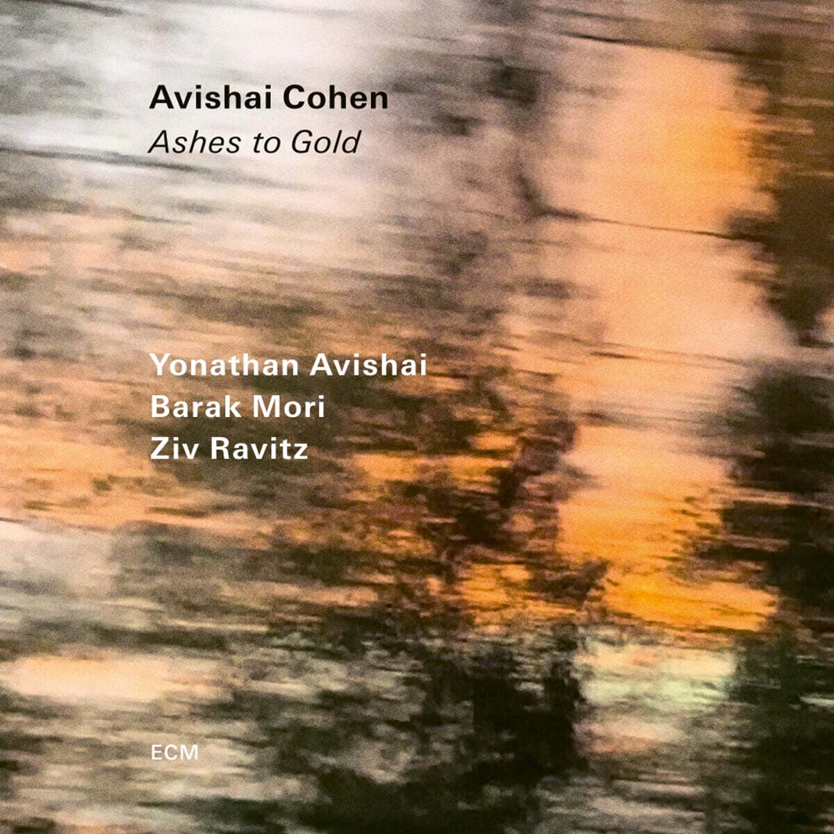 Avishai Cohen (아비샤이 코헨) - Ashes to Gold [LP]