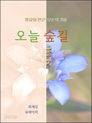 오늘숲길(가을)