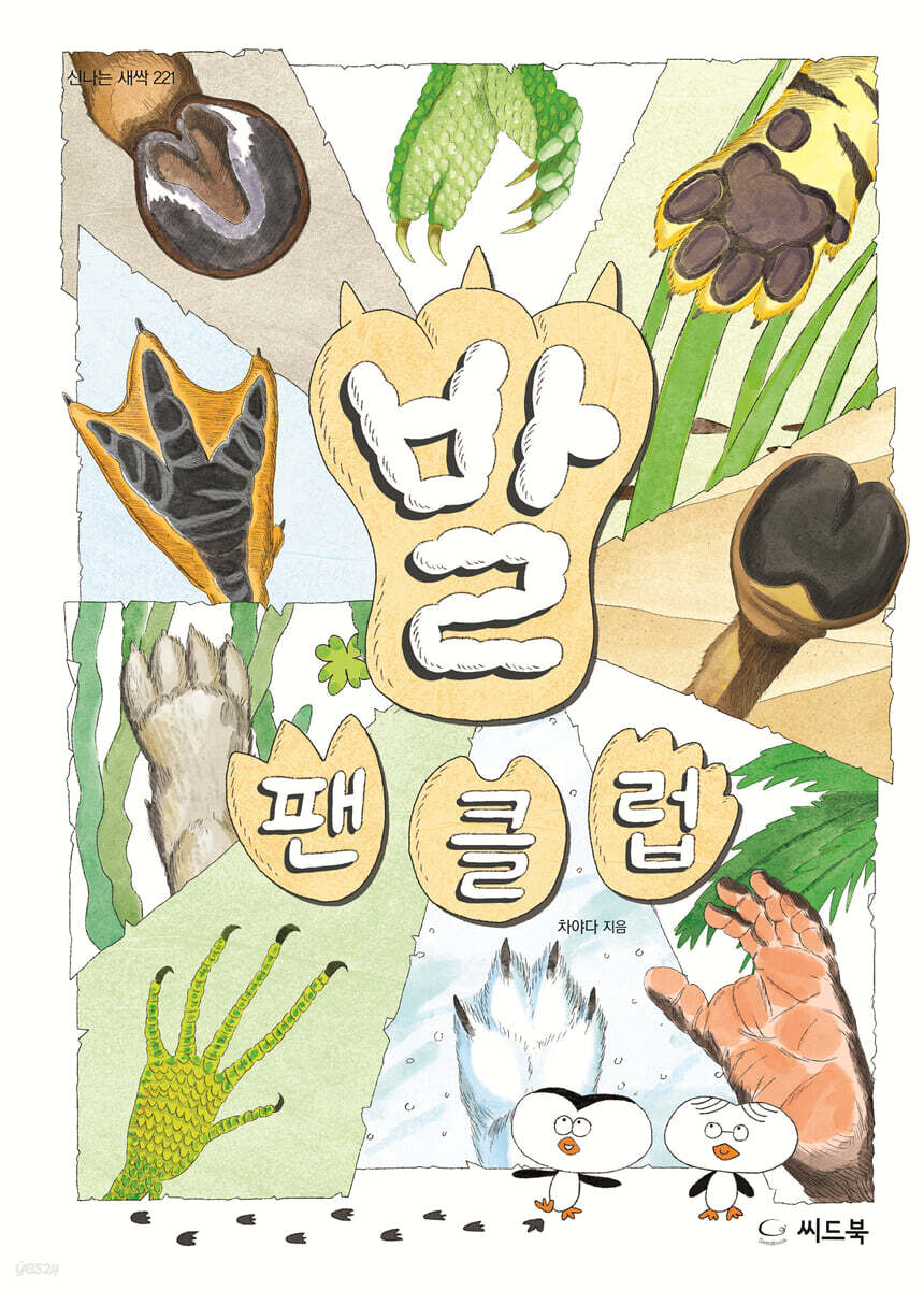 발 팬클럽