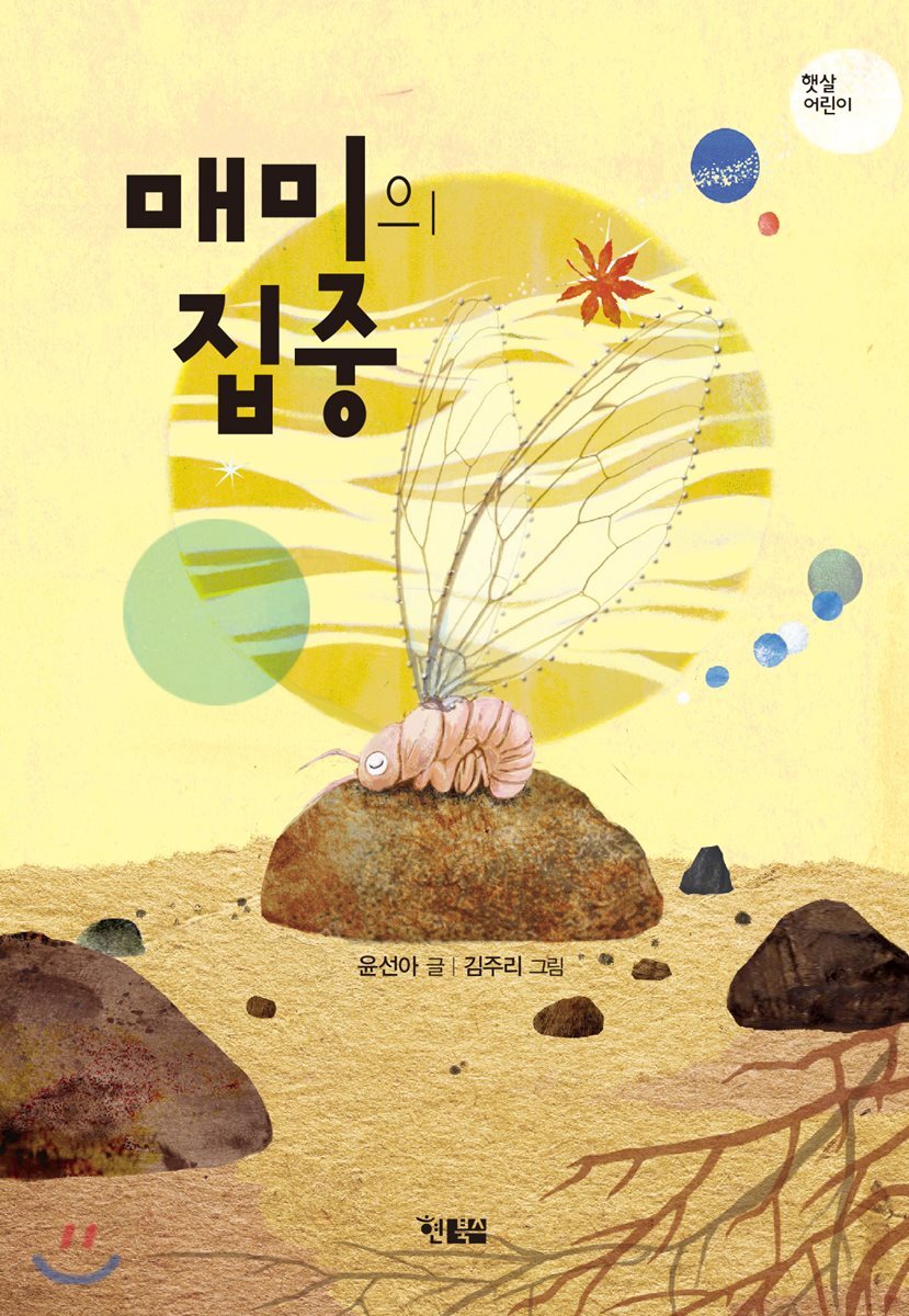 매미의 집중
