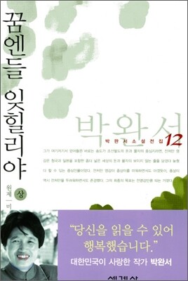 꿈엔들 잊힐리야 (상)