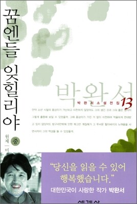 꿈엔들 잊힐리야 (중)